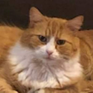 Meet your Posher, Frederick